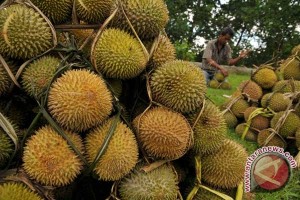  Durian, Pisang, Nanas Dilarang Impor