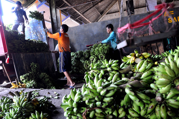  FOTO: Pisang, Durian, Nanas Dilarang Impor