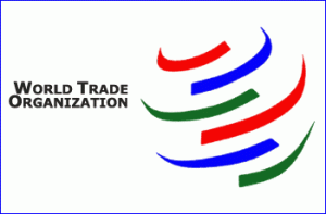 Jelang Pemilihan Dirjen WTO, Mari Elka Paparkan 4 Persoalan