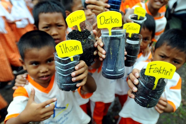  FOTO: Siswa SD Juara Tanam Selada di Sekolahnya