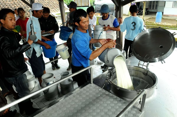  FOTO: Kualitas Susu Dipengaruhi Penanganan Bukan Bahan