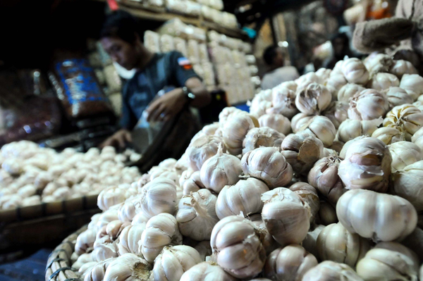  FOTO: Pemerintah Keluarkan 16 Surat Persetujuan Impor Bawang Putih