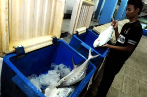  HARGA IKAN di Kabupaten Bandung Stabil