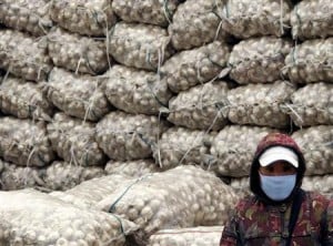  BAWANG PUTIH: 293 Kontainer Akan Dilepas Bertahap