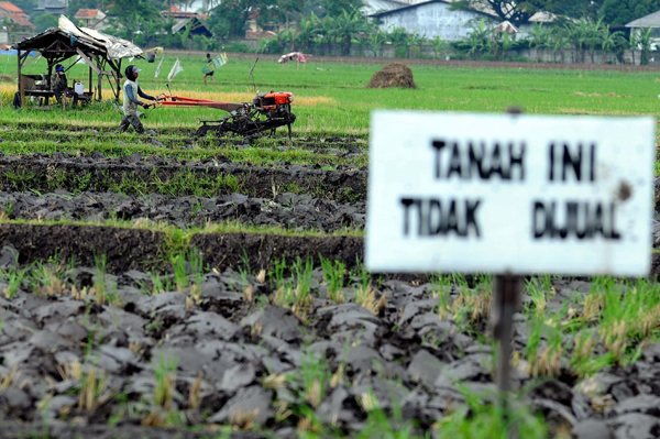  FOTO: Solusi Kurang Lahan, Pemberian Bantuan Tanah Langsung Kepada Petani