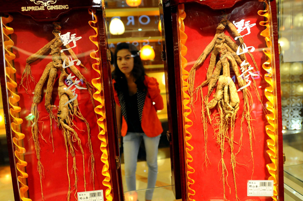  FOTO: Ginseng Harga Ratusan Juta Rupiah Dipamerkan di TSM