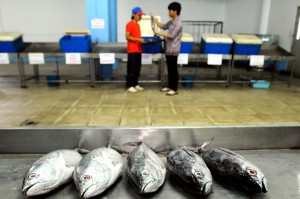  Genjot Konsumsi Ikan, DKP Jabar Bentuk Forikan