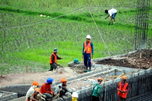  PERTANIAN: China-Argentina Bangun Kerja Sama