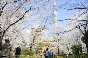  Jalan ke Tokyo, Sempatkan Diri ke Menara Skytree 