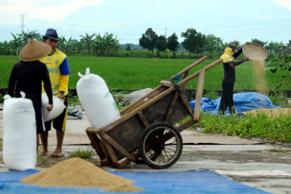  FOTO: Stok Beras Bulog Jabar Aman untuk 7 Bulan ke Depan