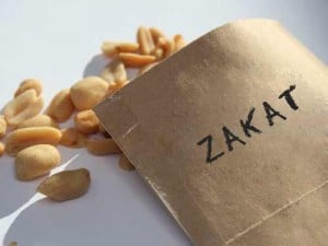  ZAKAT: Potensi di Kota Tasik Baru Tergali 45%