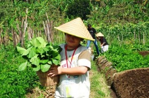  INFO WISATA: Kunjungan ke Kampoeng Kids Naik 100%