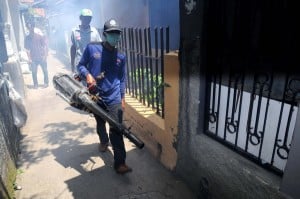  22 Warga di Tasikmalaya Terserang Chikungunya