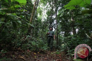  IMIGRAN GELAP: Ketemu Polisi, Beberapa Imigran di Garut Masuk ke Hutan