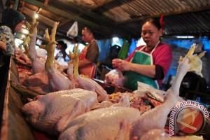  HARGA DAGING AYAM Ditentukan Pasar