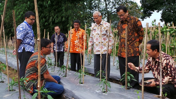  FOTO: Bank Indonesia Menggagas Rumah Semai Klaster Cabai Merah di Garut