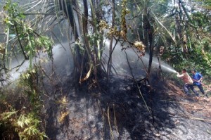  POLUSI ASAP: Polisi Riau akan Tindak Tegas Pembakar Hutan