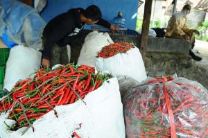  Pedagang Sayur Resah Jasa Angkutan Barang Naik 100%