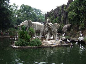  Ragunan akan Disulap Jadi Kebun Binatang Internasional