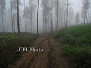  DESA WISATA SARONGGE Terus Digenjot