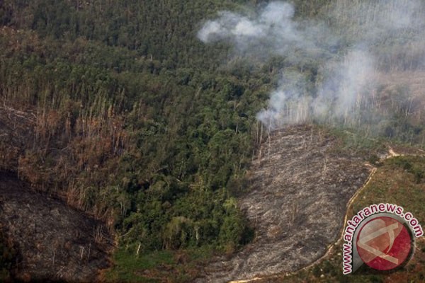  POLUSI ASAP: 21 Pelaku Pembakar Lahan Riau Ditangkap