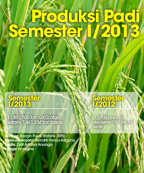  DATA BISNIS: Produksi Padi Semester I/2013 