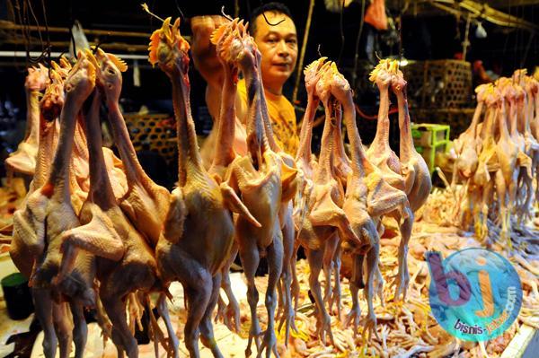  FOTO: Di Jabar, Stok Daging Ayam Surplus 19.029 Ton