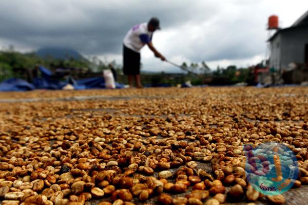  FOTO: Pemerintah Diminta Intervensi Harga Jual Kopi