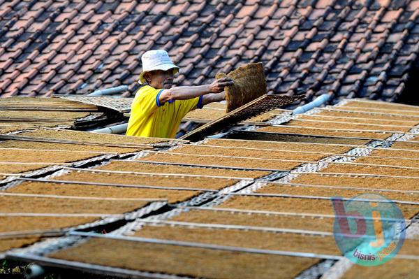  FOTO: Lahan Tembakau Jabar Idealnya 40.000 Hektare