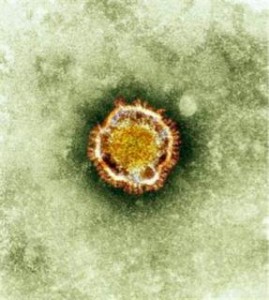  Virus Corona: Jamaah Haji Asal Jabar Belum Dapat Informasi