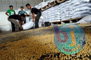  Harga Kedelai di Tasik Tembus Rp10.000/kg