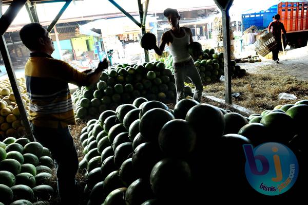  FOTO: Eksportir Buah Keluhkan Kontinuitas Produksi