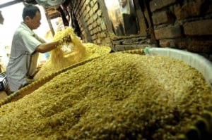  Harga Kedelai di Sukabumi Rp11.000 per Kg