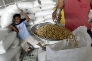  11.500 Ton Kedelai Bakal Dijual Murah