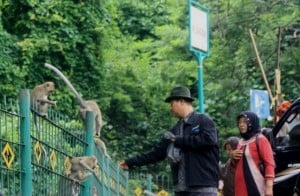  KADIN: 50% Infastruktur Pariwisata Jabar Buruk   