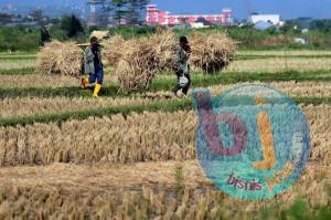  BUMD Kab Bandung Diminta Bantu Petani