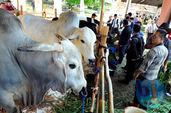  FOTO: Dorong Peternakan, Disnak Jabar Gelar Pesta Patok