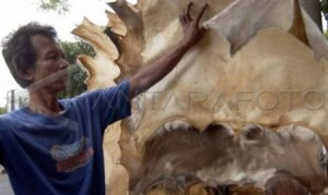  Harga Kulit Hewan Kurban di Tasikmalaya Naik 20%