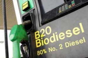  Uni Eropa Coret Penyelidikan Biodiesel Argentina & Indonesia