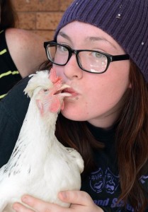 Ajaib, Kisah Ayam Mati Yang Bisa Hidup Kembali