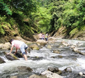  90% Jenis Ikan di Sungai Ciliwung Punah