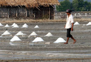  160.000 Ton Garam di Cirebon dan Indramayu Belum Terserap