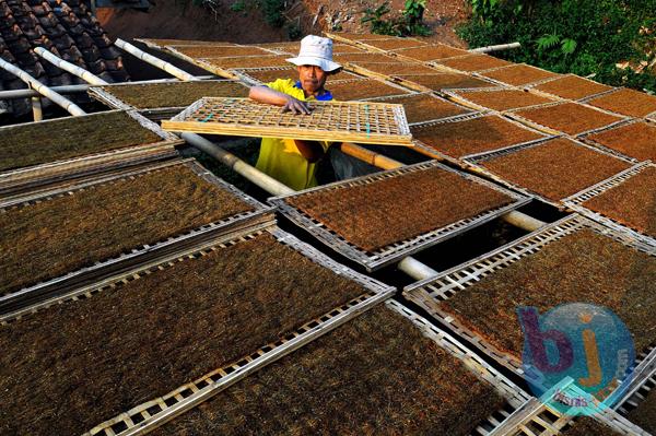  FOTO: APTI Tolak Perjanjian FCTC, Petani Terancam Rugi