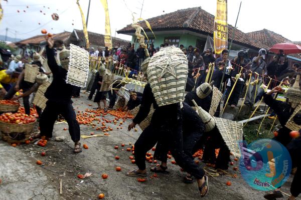  FOTO: Ngaruat Bumi, Buang Sial, Warga Kereumbi Lembang Perang Tomat