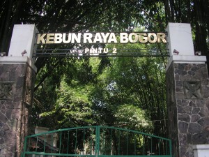  Kebun Raya Bogor Bantu Kurangi Emisi Karbon