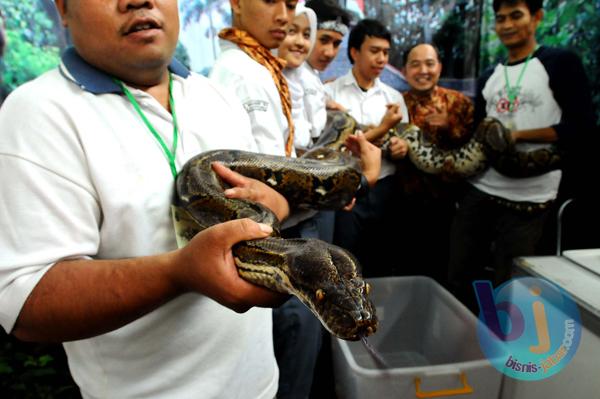  FOTO: Masih Tinggi Kerusakan Hutan di Jabar Ancam Habitat Satwa