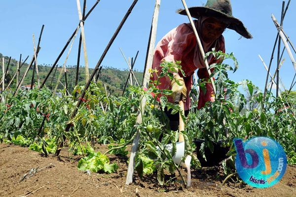  RTP Jabar Mencapai 3,05 Juta Rumah Tangga