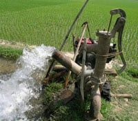  Pasokan Air Sawah Petani Indramayu Terhambat Perbaikan Irigasi