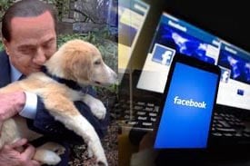  Anjing Kesayangan Berlusconi Punya Akun Facebook, Sudah Ada 600 'Teman'