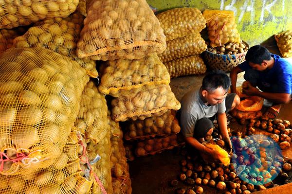  FOTO: Produksi Kentang di Jabar Relatif Stabil